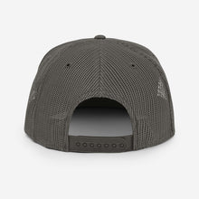 Load image into Gallery viewer, Plugs Anonymous Mesh Back Snapback
