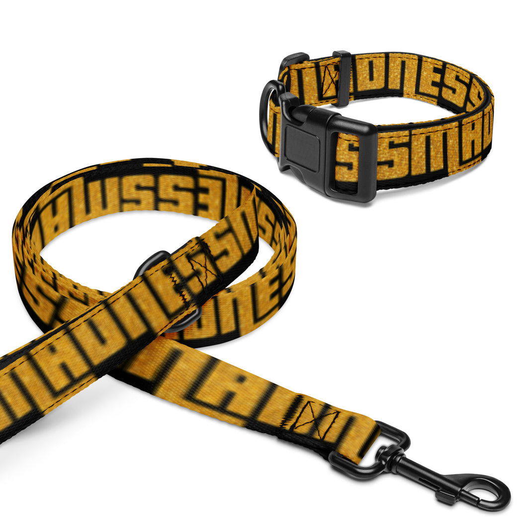 MVM madness Pet collar & leash